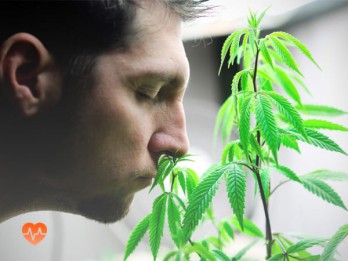 Детоксикация от марихуаны в Мозыре